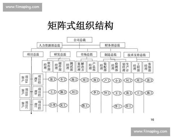 矩阵管理模式在企业组织结构中的应用与挑战分析 矩阵管理模式在企业组织结构中的应用与挑战分析